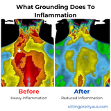 Earthed Grounding Sheet